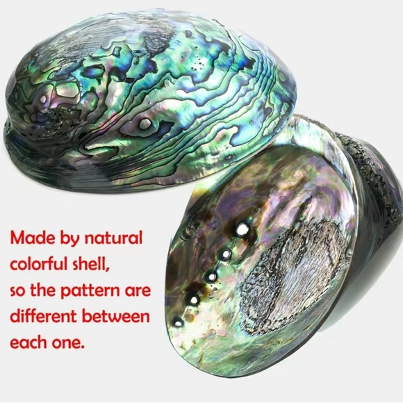 $2/$25 or 3/$35 NWOT Abalone shell/silver tone owl shimmery earrings - Picture 4 of 4